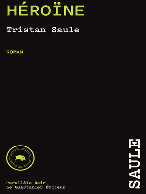 cover image of Héroïne